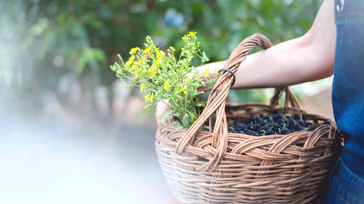 1588645103396189.png 微信圖片_20200505101113.png